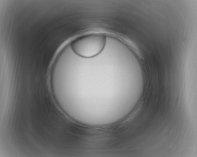 X0000114121326200910051251