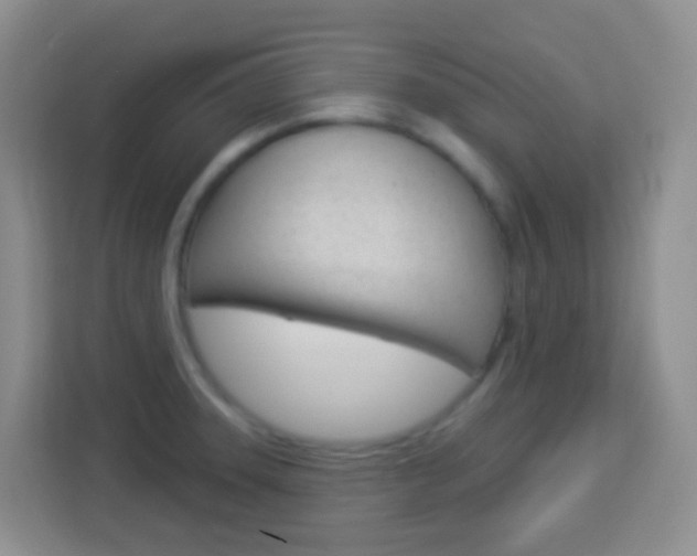 X0000114121331200910051251