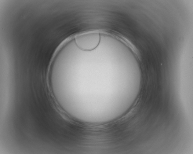 X0000114121332200910051251