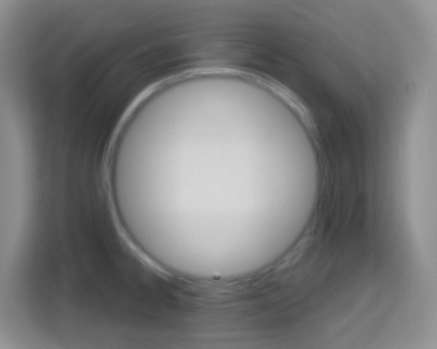 X0000114121334200910051251