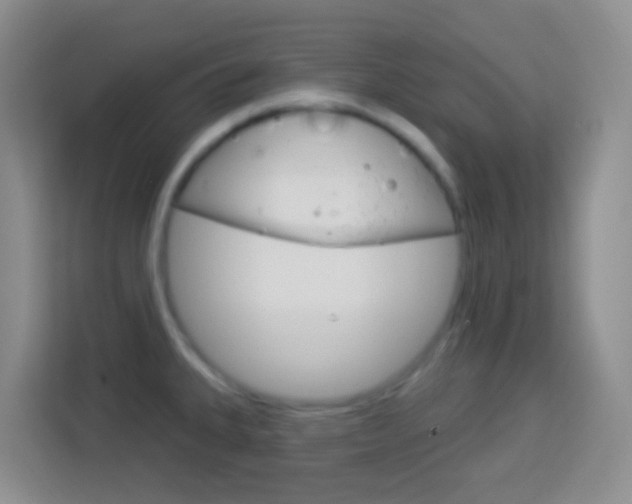 X0000114121335200910051251