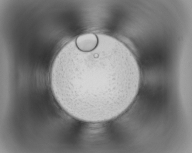 X0000114121338200910051251