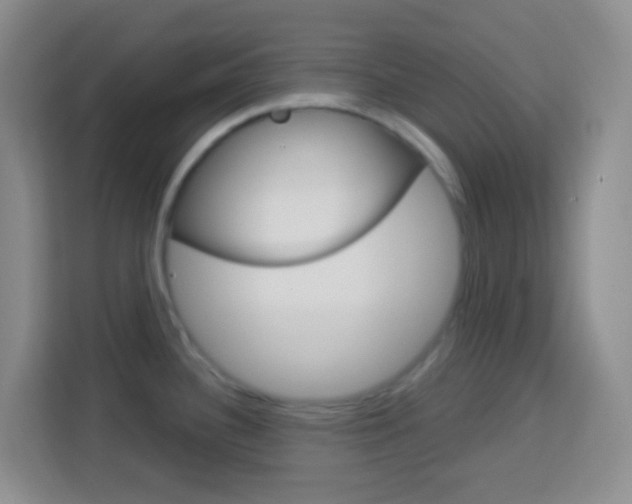 X0000114121340200910051251