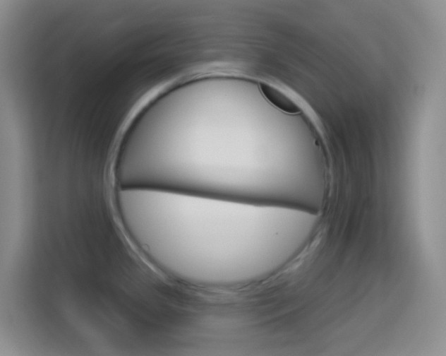 X0000114121341200910051251