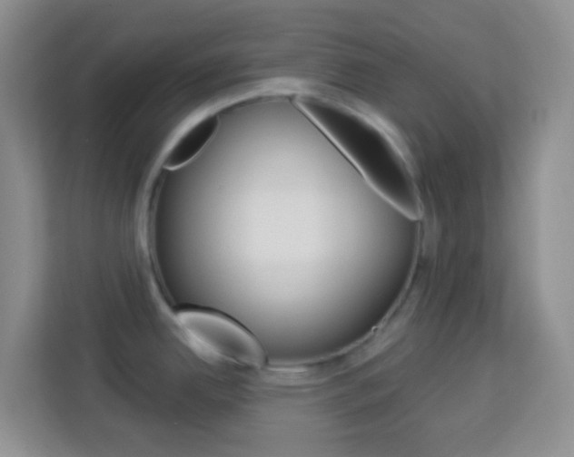 X0000114121342200910051251