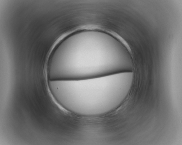 X0000114121343200910051251