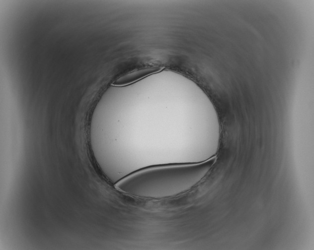 X0000114121345200910051251
