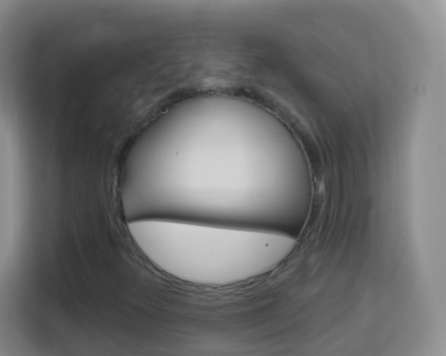X0000114121348200910051250