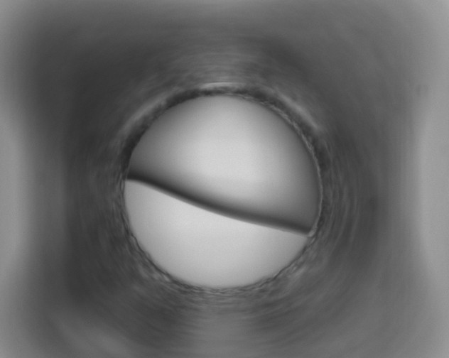 X0000114121351200910051250