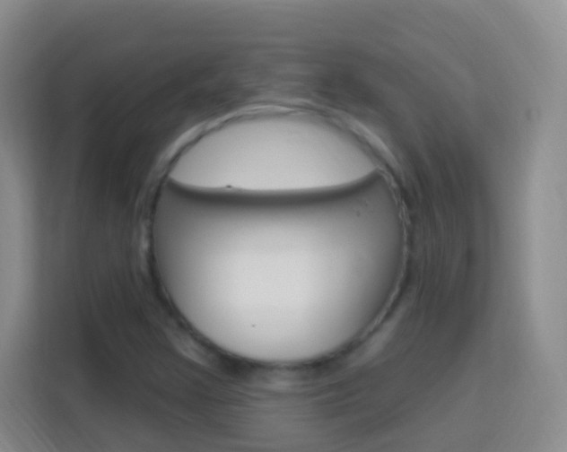X0000114121355200910051250