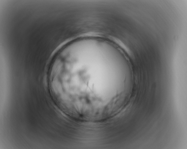 X0000114121356200910051250