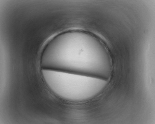 X0000114121359200910051250