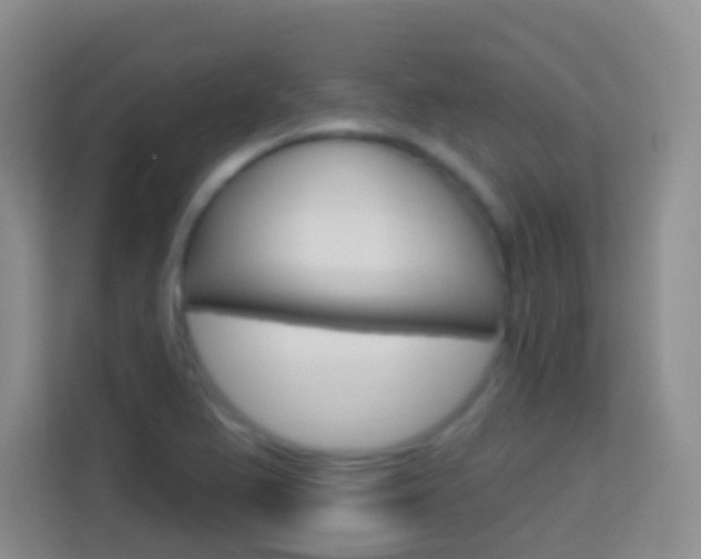 X0000114121367200910051250