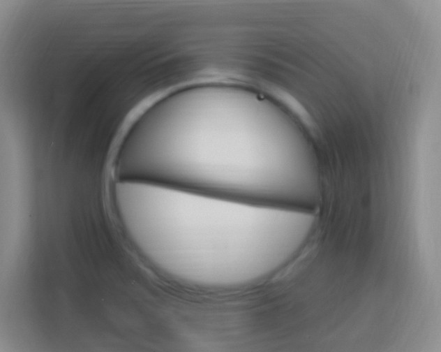 X0000114121371200910051250