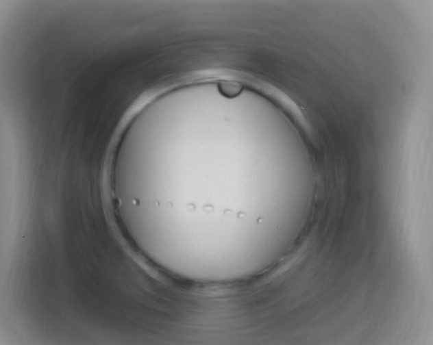 X0000114121373200910051250