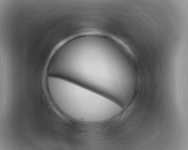 X0000114121375200910051250