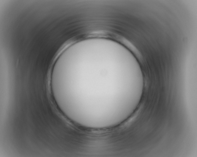 X0000114121378200910051250