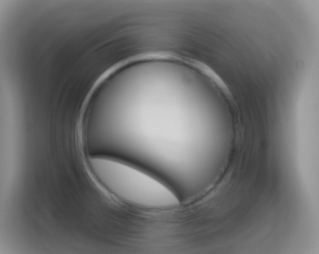 X0000114121380200910051250