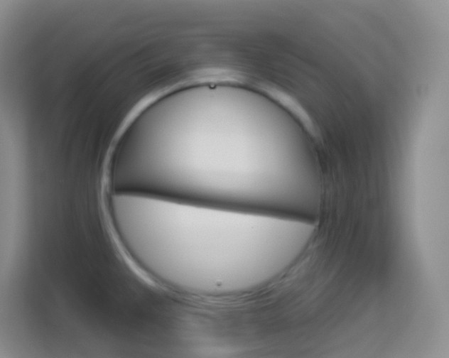 X0000114121383200910051250