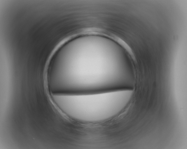 X0000114121384200910051250