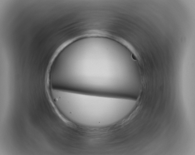 X0000114121387200910051250