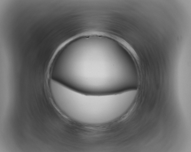 X0000114121388200910051250