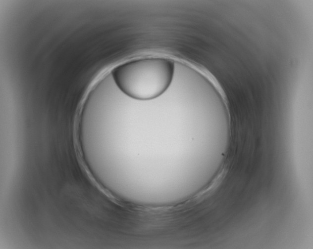 X0000114121389200910051250