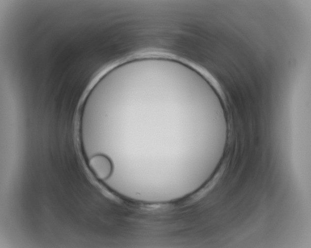 X0000114121390200910051250