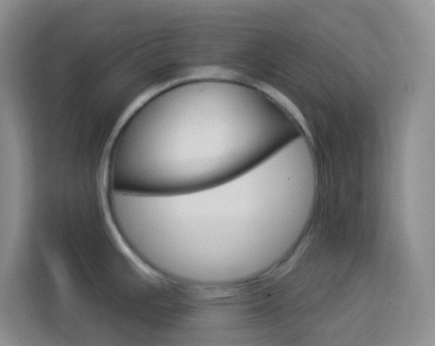 X0000114121391200910051250