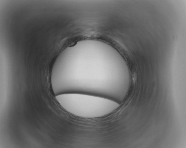 X0000114121396200910051249
