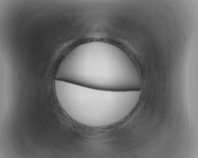 X0000114121398200910051249