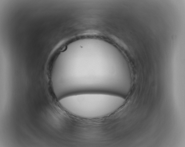 X0000114121400200910051249