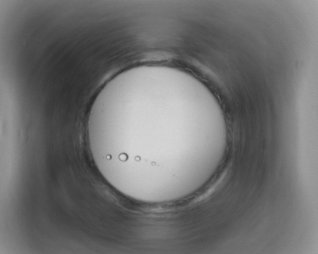 X0000114121401200910051249