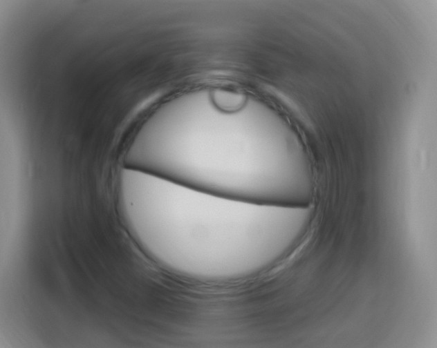 X0000114121402200910051249