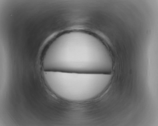 X0000114121406200910051249