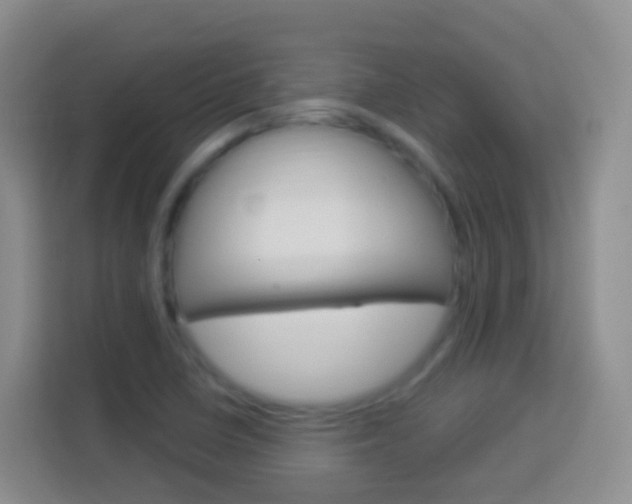 X0000114121410200910051249