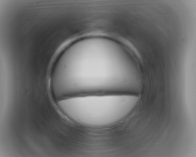 X0000114121416200910051250