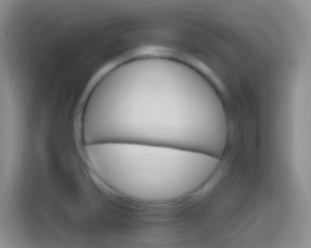 X0000114121421200910051250