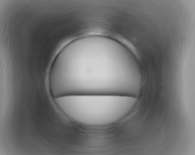 X0000114121423200910051250