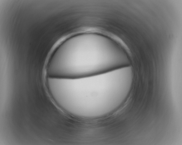 X0000114121424200910051250