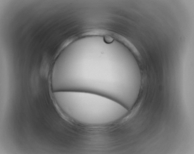 X0000114121425200910051250