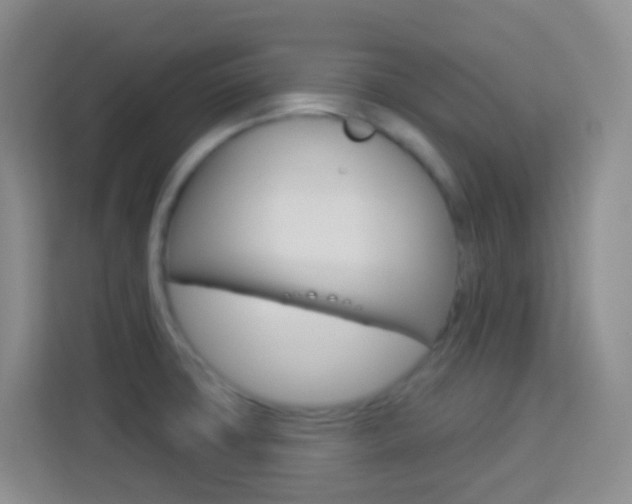 X0000114121427200910051250