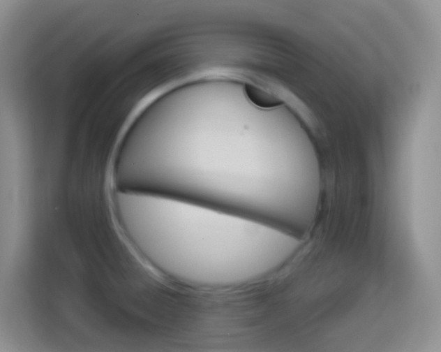 X0000114121428200910051250