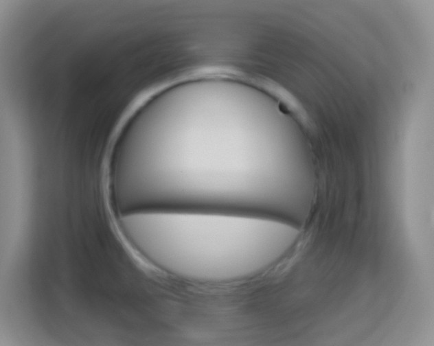 X0000114121430200910051250