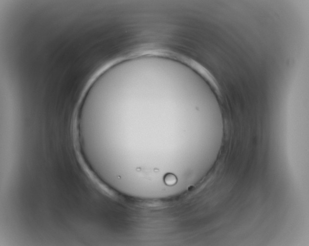 X0000114121431200910051250