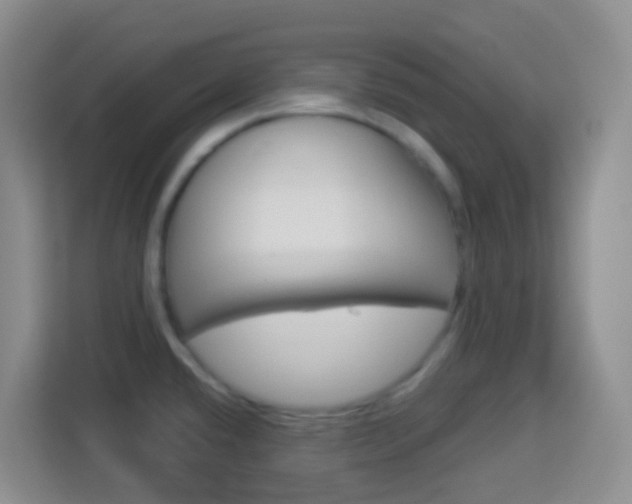 X0000114121432200910051250