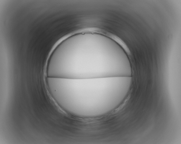 X0000114121436200910051250