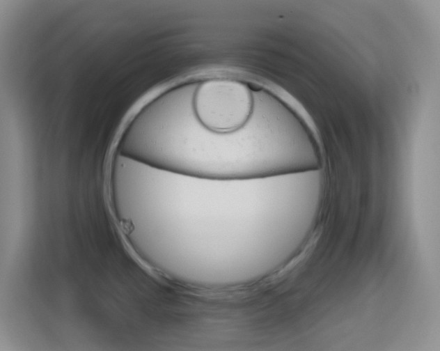 X0000114121437200910051250