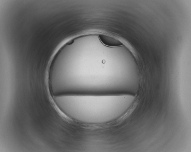 X0000114121438200910051250