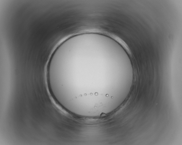 X0000114121439200910051250